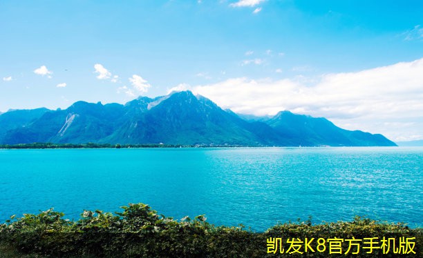 凱發(fā)k8國際廳登錄新型調(diào)節(jié)閥技術(shù)趨勢探討
