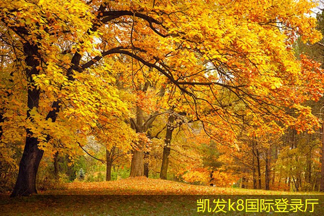 K8凱發(fā)登錄入口新風(fēng)換氣機如何改善過敏癥狀