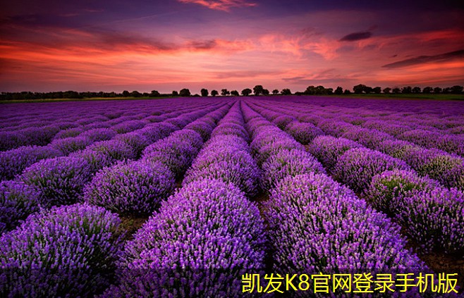凱發(fā)K8在線平臺官方網(wǎng)站旋流風口在節(jié)能設計中的重要性