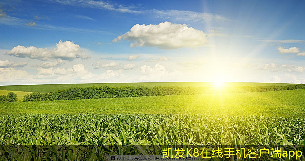 凱發(fā)K8官網(wǎng)地址無紡布過濾器在工業(yè)中的重要性
