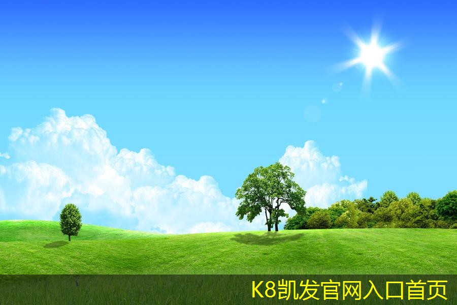 凱發(fā)K8官網(wǎng)手機(jī)版下載未來(lái)可拆式板式熱交換器的發(fā)展趨勢(shì)