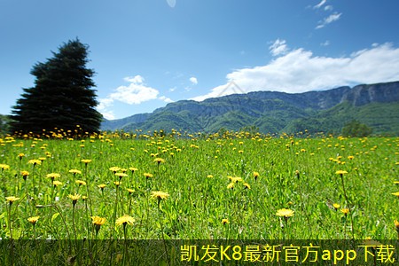 凱發(fā)k8國(guó)際登錄廳未來(lái)?yè)Q熱機(jī)組的發(fā)展趨勢(shì)