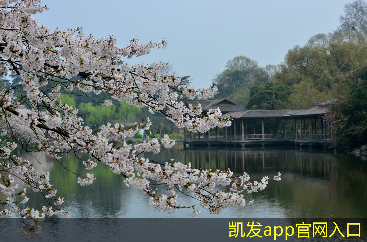 凱發(fā)K8在線官網(wǎng)未來消聲器技術(shù)的創(chuàng)新方向