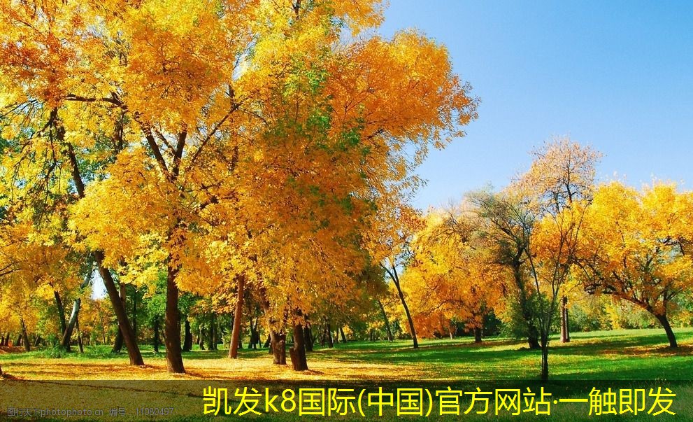 凱發(fā)k8國際首頁登錄未來調(diào)節(jié)閥的發(fā)展方向