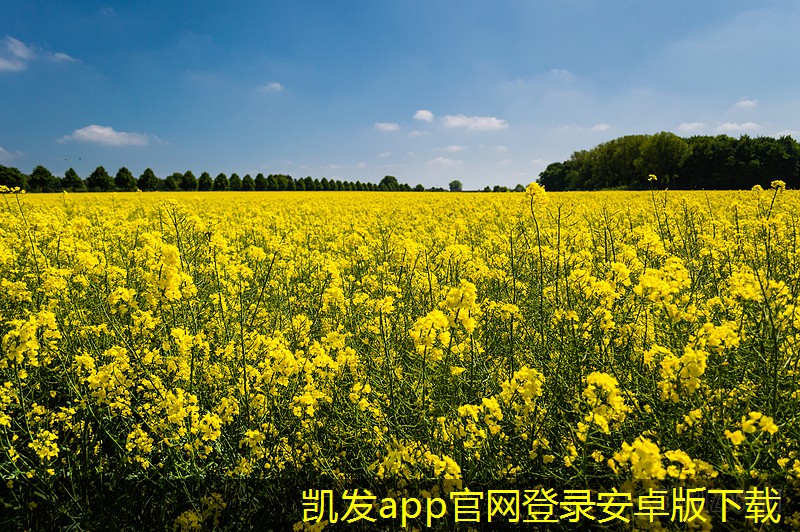 K8凱發(fā)app官網(wǎng)未來趨勢 手輪式渦輪蝸桿風(fēng)閥的智能化發(fā)展