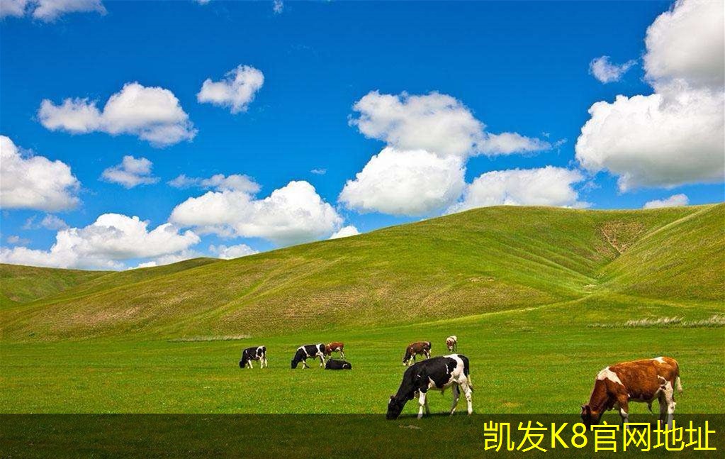 K8凱發(fā)app平臺未來風(fēng)機技術(shù)與T流式風(fēng)機展望