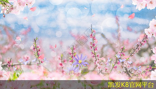 K8凱發(fā)app官網(wǎng)登錄止回閥在建筑給排水中的作用