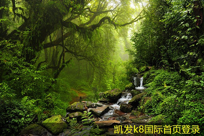 凱發(fā)K8官方網(wǎng)站app官網(wǎng)止回閥在水處理系統(tǒng)中的作用