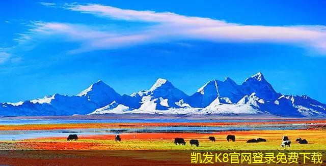凱發(fā)K8官方網(wǎng)站止回閥在消防系統(tǒng)中的應用