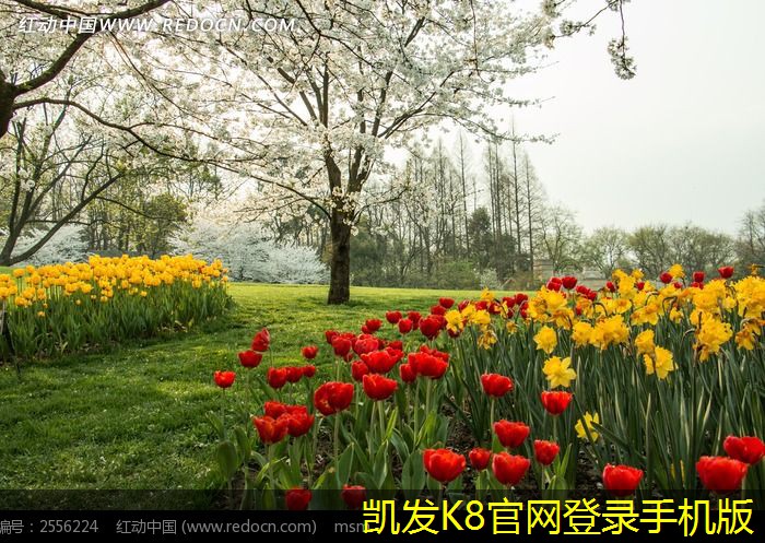 凱發(fā)K8官網(wǎng)平臺注冊止回閥的安裝注意事項