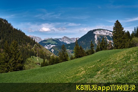 凱發(fā)k8國際首頁登錄止回閥選型指南