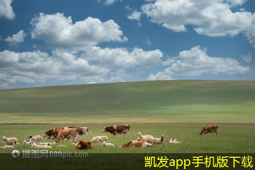 凱發(fā)k8國際(中國)官方網(wǎng)站·一觸即發(fā)渦凹?xì)飧C(jī)的創(chuàng)新技術(shù)研究
