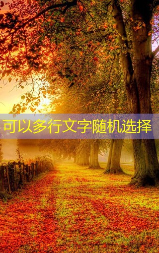 DWT屋頂風(fēng)機(jī)在不同氣候條件下的表現(xiàn)