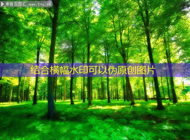 DWT屋頂風(fēng)機(jī)在商用建筑中的應(yīng)用實(shí)例