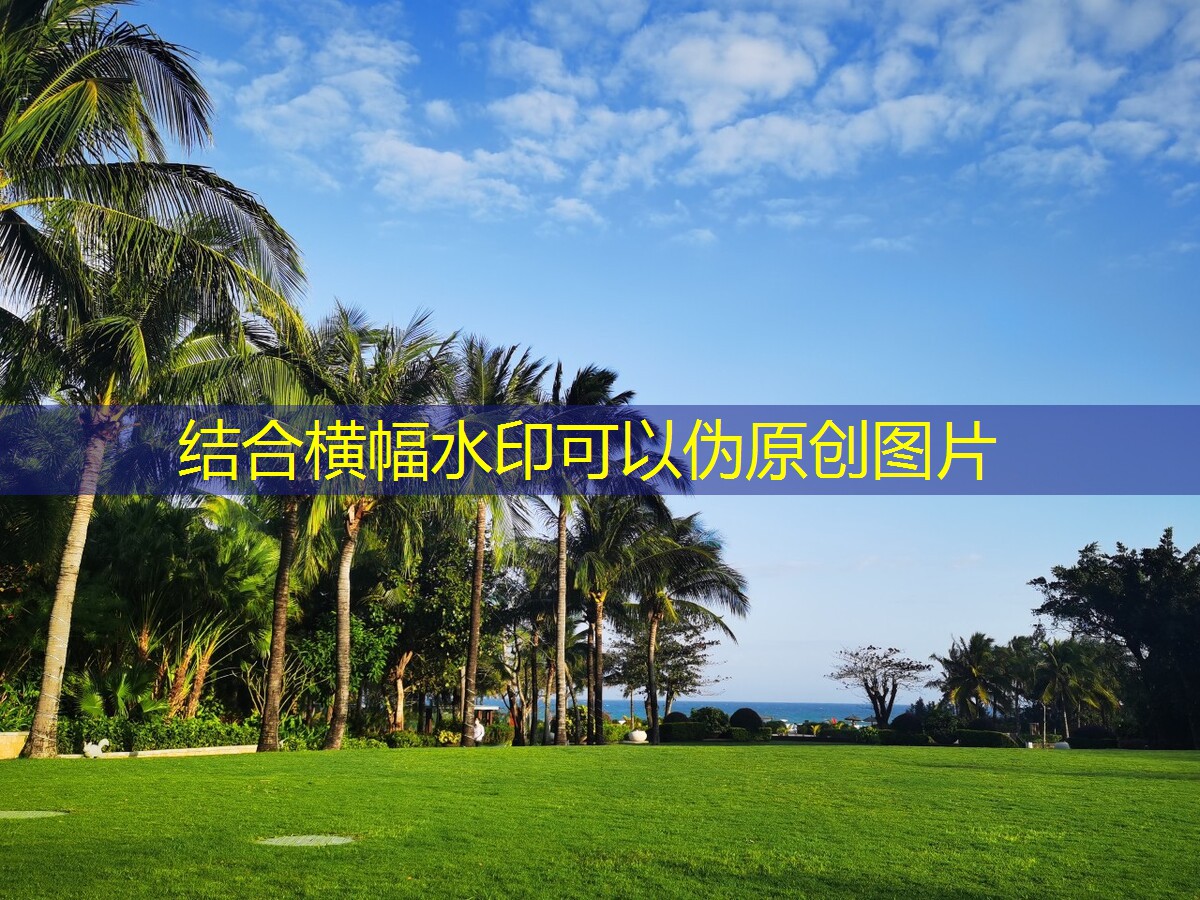 DWT屋頂風(fēng)機(jī)的控制系統(tǒng)與智能化發(fā)展