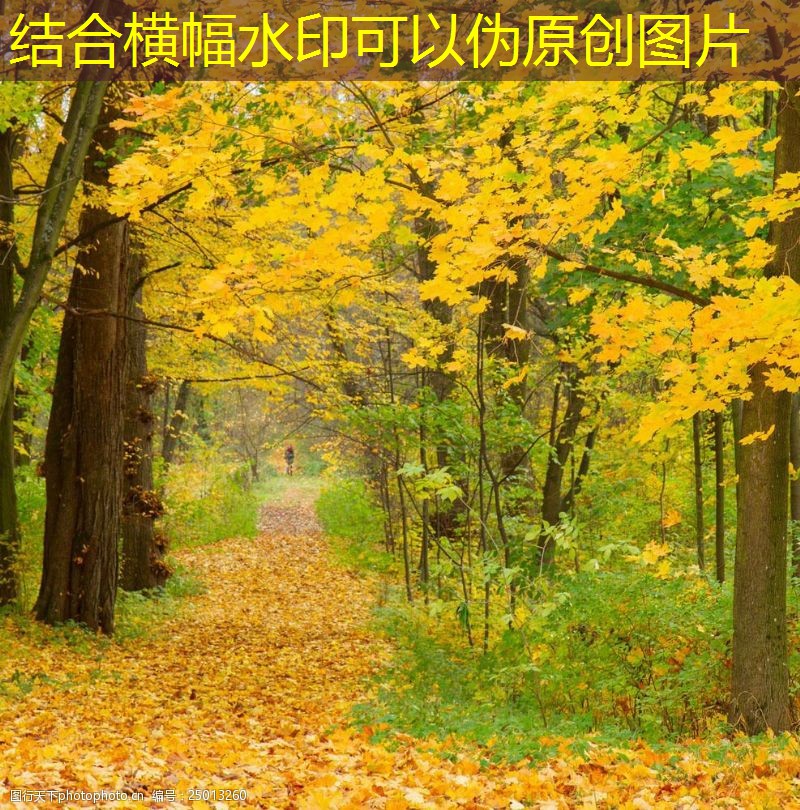 DWT屋頂風(fēng)機(jī)的節(jié)能效果研究