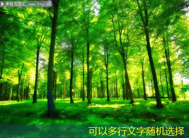 HL高效低噪混流風(fēng)機在家庭中的應(yīng)用