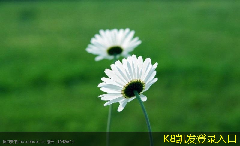 PYHL-軸流式排煙風(fēng)機(jī)的節(jié)能特性