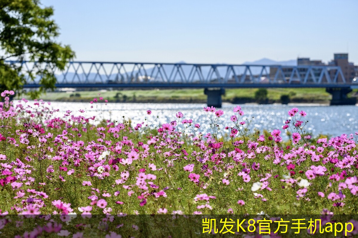 YDF型射流式誘導(dǎo)風(fēng)機(jī)的節(jié)能優(yōu)勢(shì)