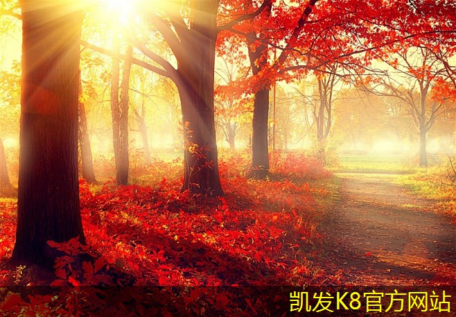一體化凈水器如何提升飲水安全