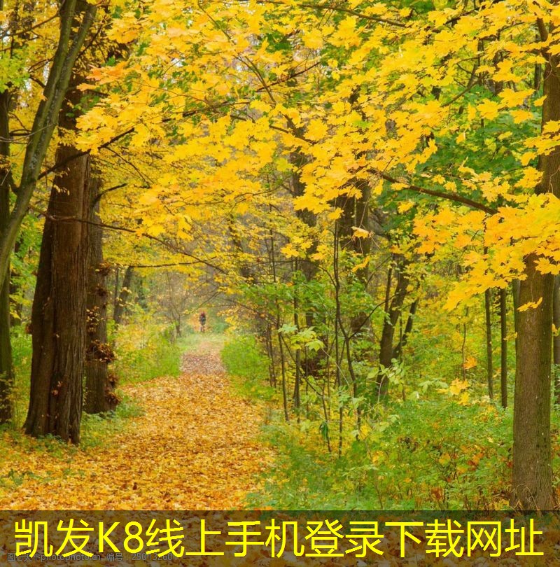 一體化凈水器的經(jīng)濟(jì)性與環(huán)保性分析