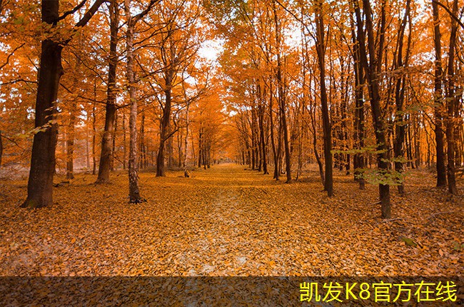 一體化地埋式污水處理設(shè)備的市場(chǎng)前景分析