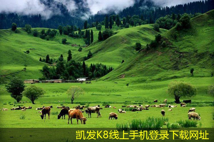 三面吹散流器在環(huán)保中的重要性