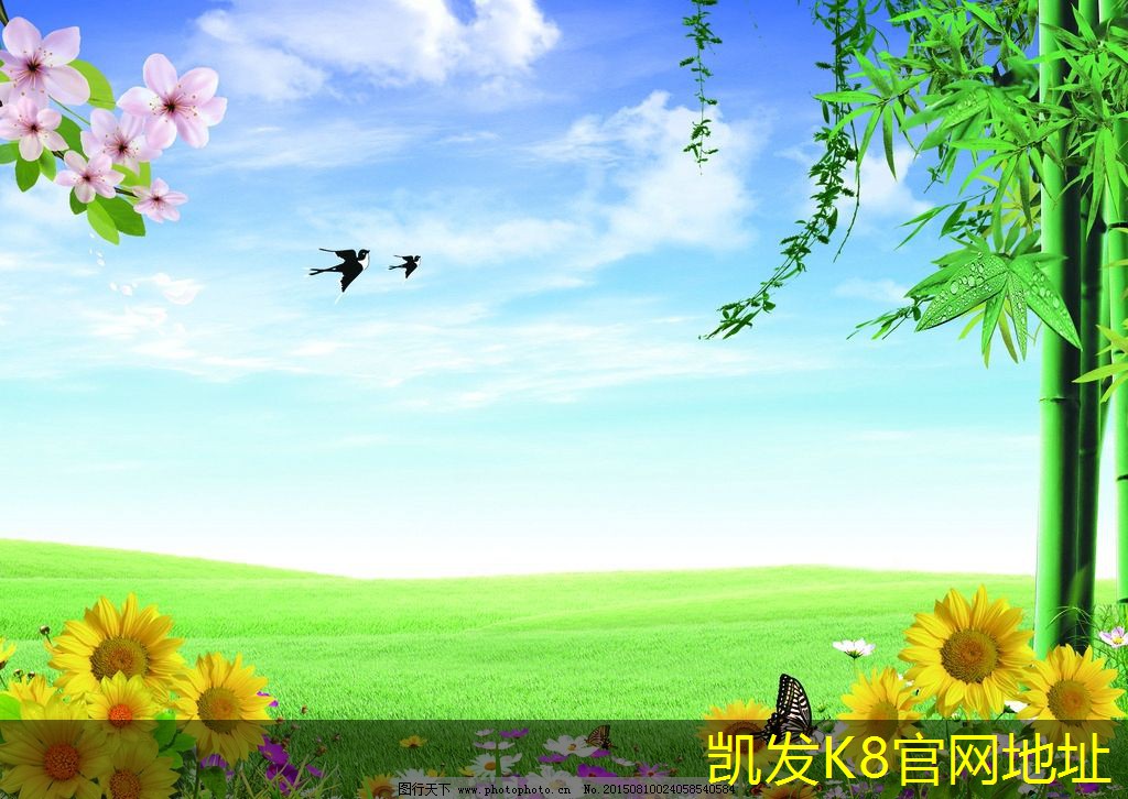 不同類型平流式溶氣氣浮機的對比