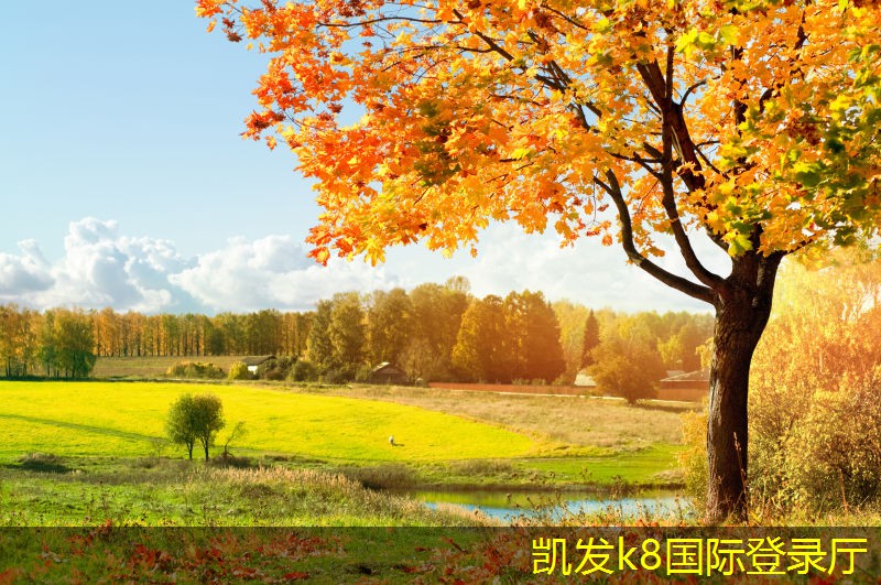 專業(yè)人士解讀減振器的市場前景