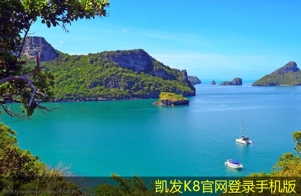 從蛋格式風(fēng)口看未來(lái)的市場(chǎng)趨勢(shì)