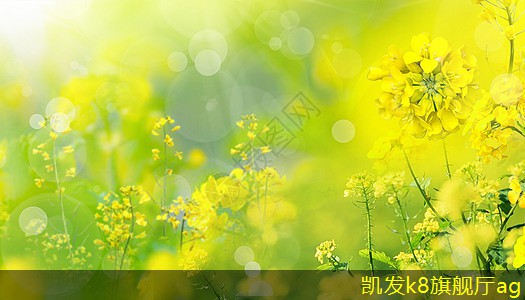 從設(shè)計(jì)到應(yīng)用詳解可拆式板式熱交換器