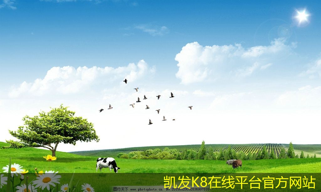 余壓閥的市場(chǎng)前景分析