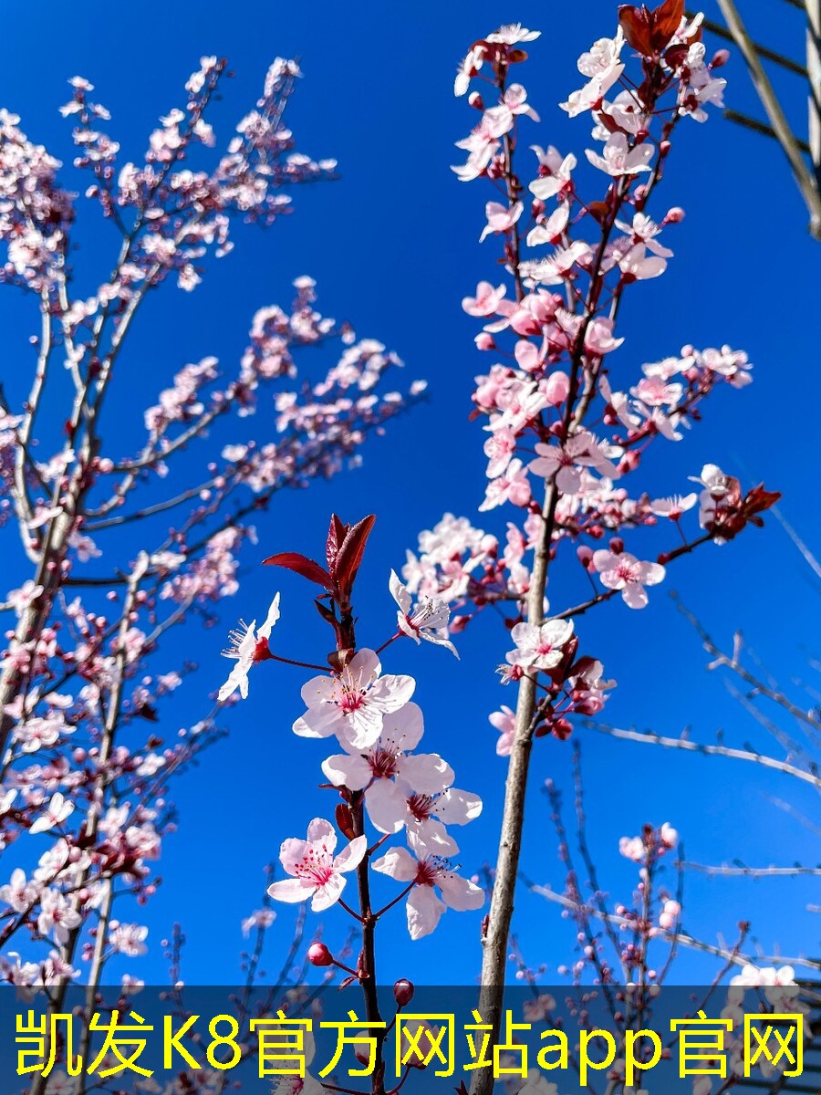 減振器在建筑結(jié)構(gòu)中的應(yīng)用案例