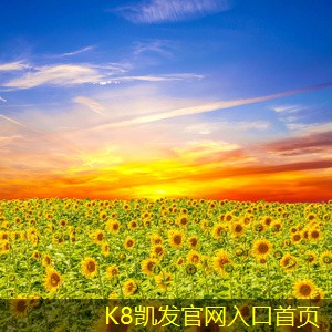減振器的歷史演變與技術(shù)革新
