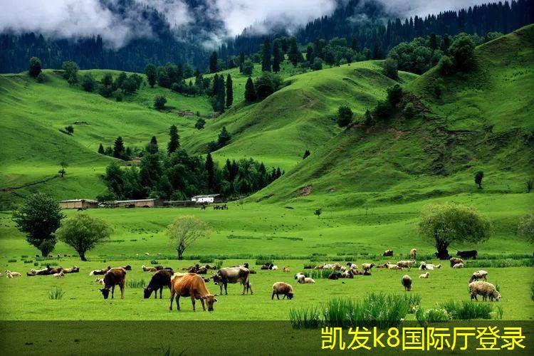 減振器的工作原理及其重要性分析