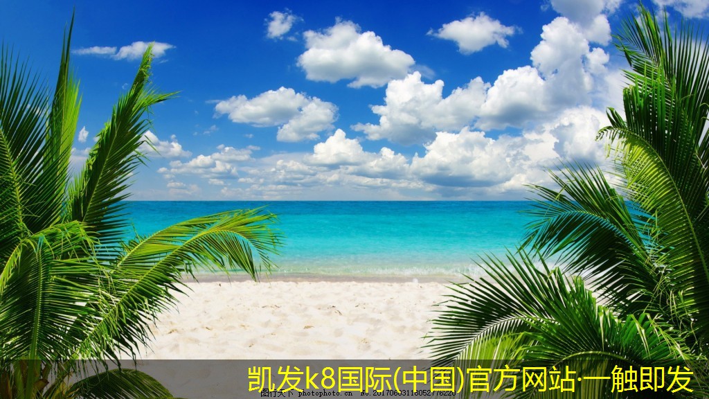 減振器的工作原理及其重要性分析