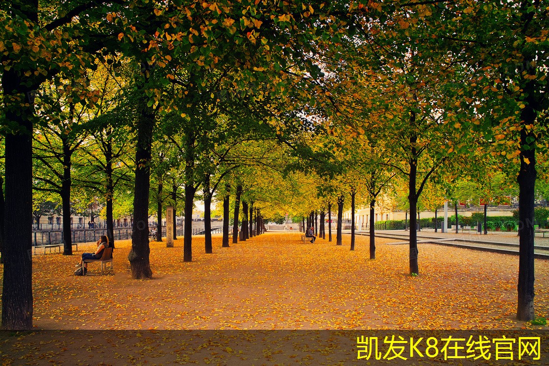 初中高效過濾器的價(jià)格與性價(jià)比分析