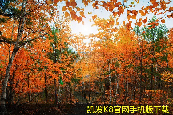 加熱器對健康的影響及合理使用方法