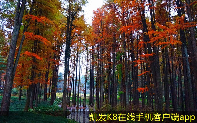 千層沙過(guò)濾器的安裝步驟詳解