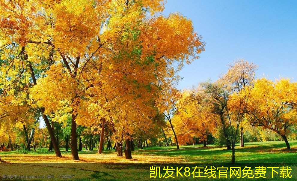 雙層百葉風(fēng)口的工作原理詳解
