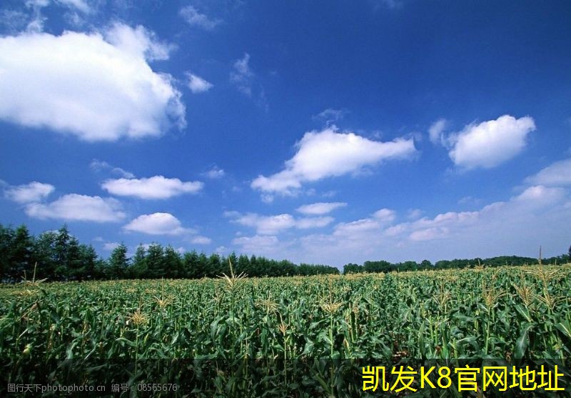 雙層百葉風(fēng)口的設(shè)計(jì)與創(chuàng)新