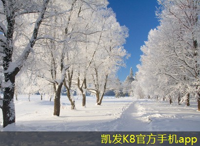 可拆式板式熱交換器與傳統(tǒng)熱交換器的比較
