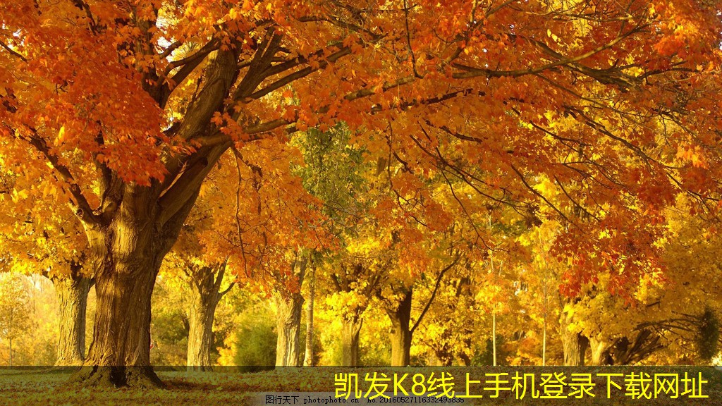 可拆式板式熱交換器的工作原理解析
