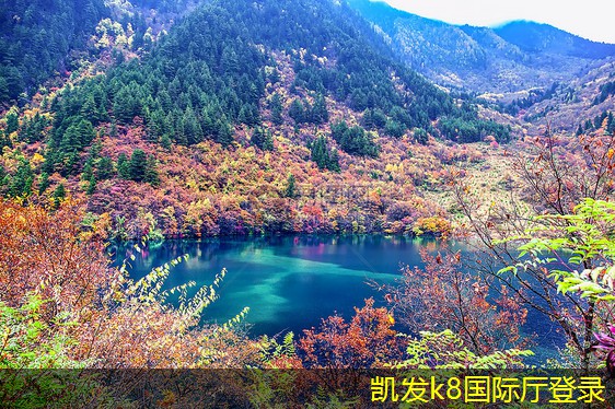 可拆式板式熱交換器的技術創(chuàng)新動態(tài)
