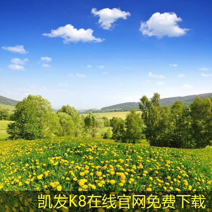 吊式彈簧減振器對(duì)車(chē)輛性能的影響