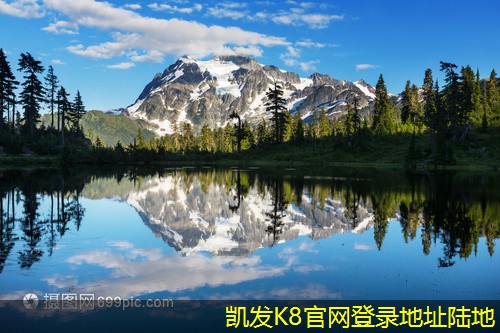 吊式彈簧減振器的設(shè)計原則與注意事項