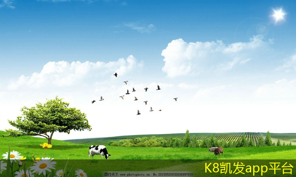 固定葉片斜送風(fēng)風(fēng)口與其他風(fēng)口的對(duì)比
