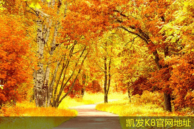 圓形散流器在工業(yè)應(yīng)用中的優(yōu)勢(shì)