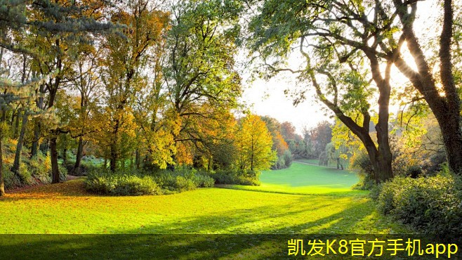 圓環(huán)形葉片散流器在節(jié)能方面的貢獻