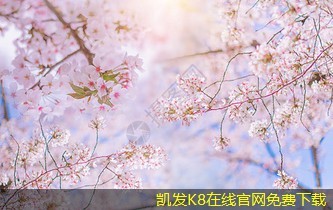 在高溫環(huán)境中使用調(diào)節(jié)閥的注意事項